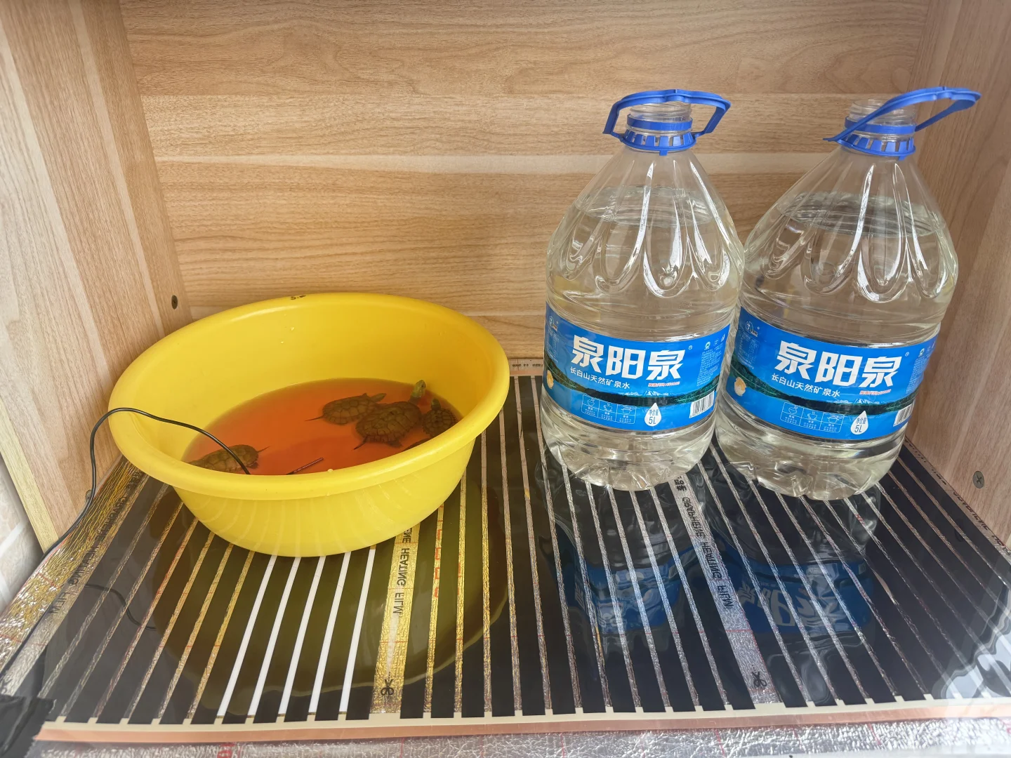 龟缸多的加温可以试试石墨烯加热垫