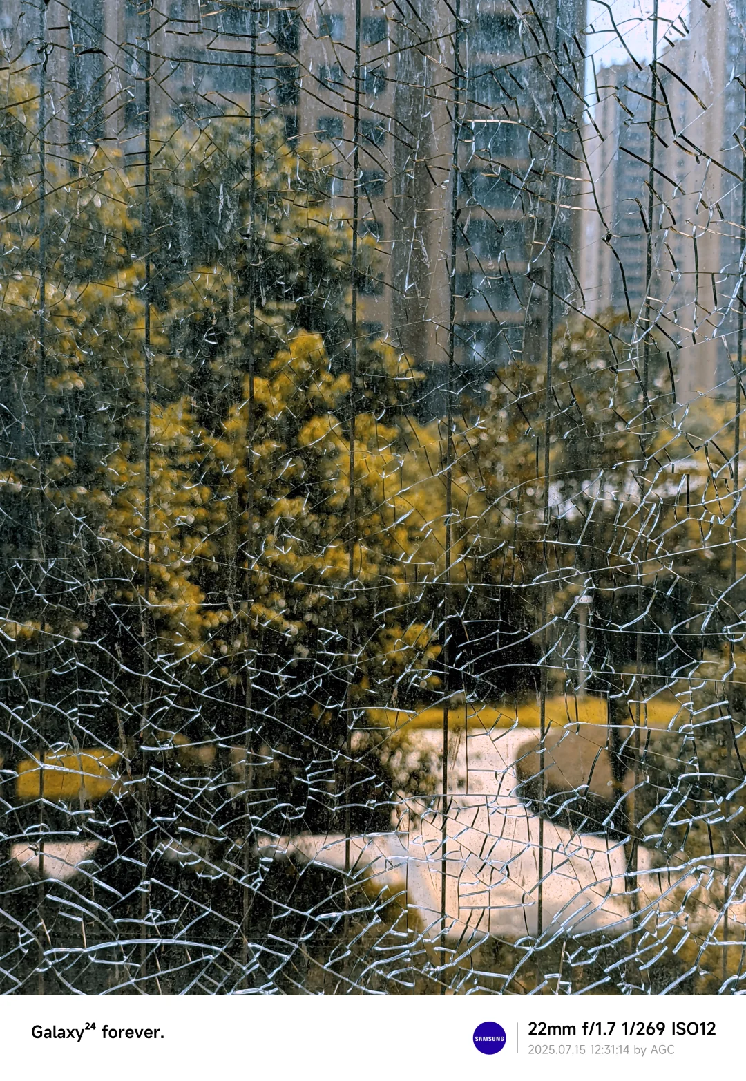 纯天然·冰裂纹· 玻璃种