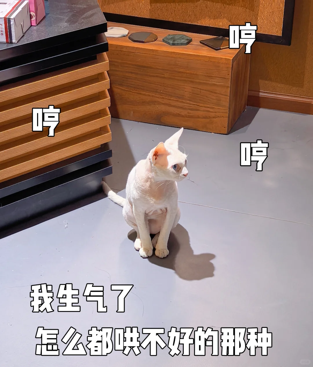 超级喜欢萌萌哒的小东西