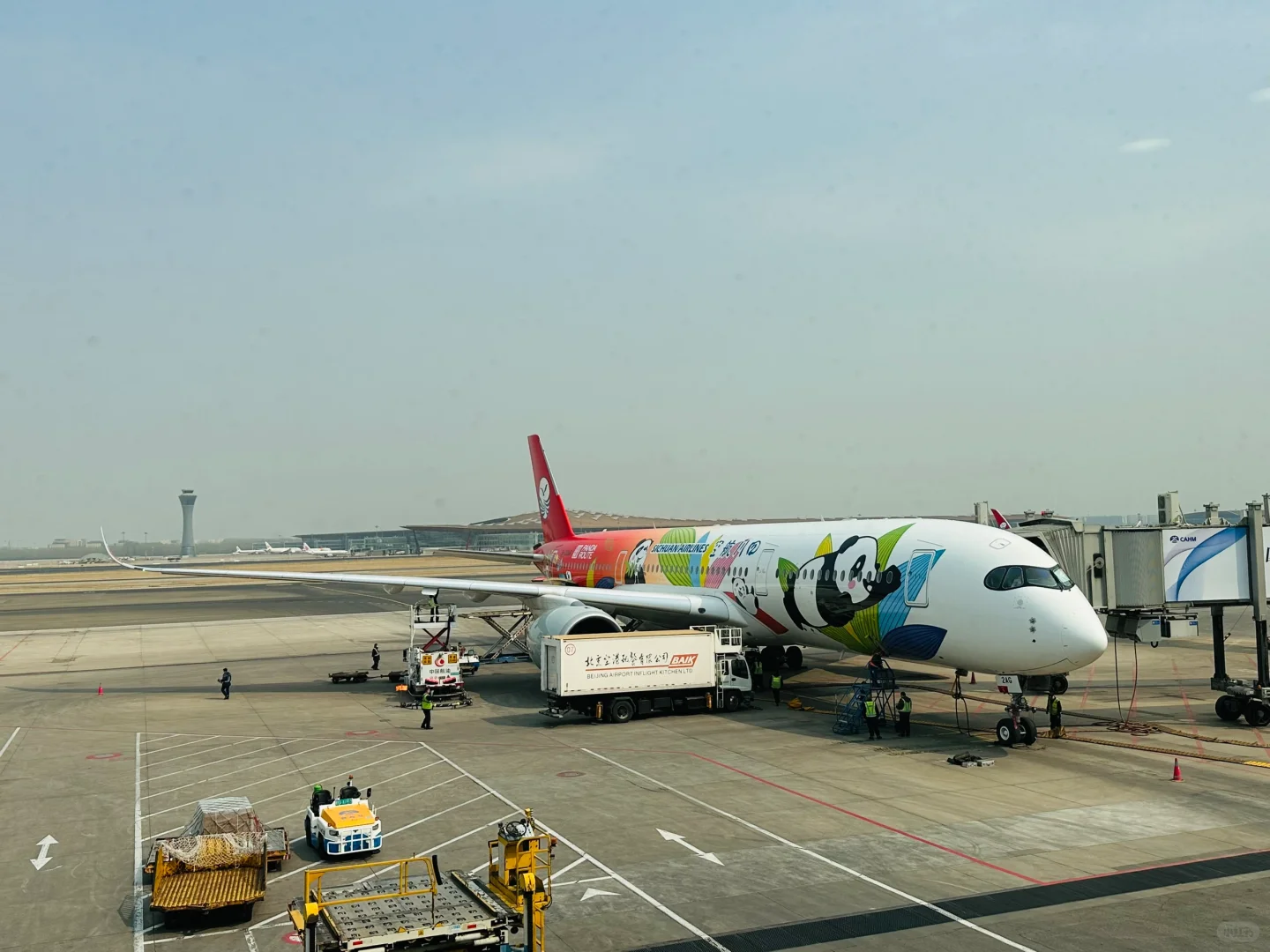 四川航空熊猫小飞侠 A350公务舱体验?️