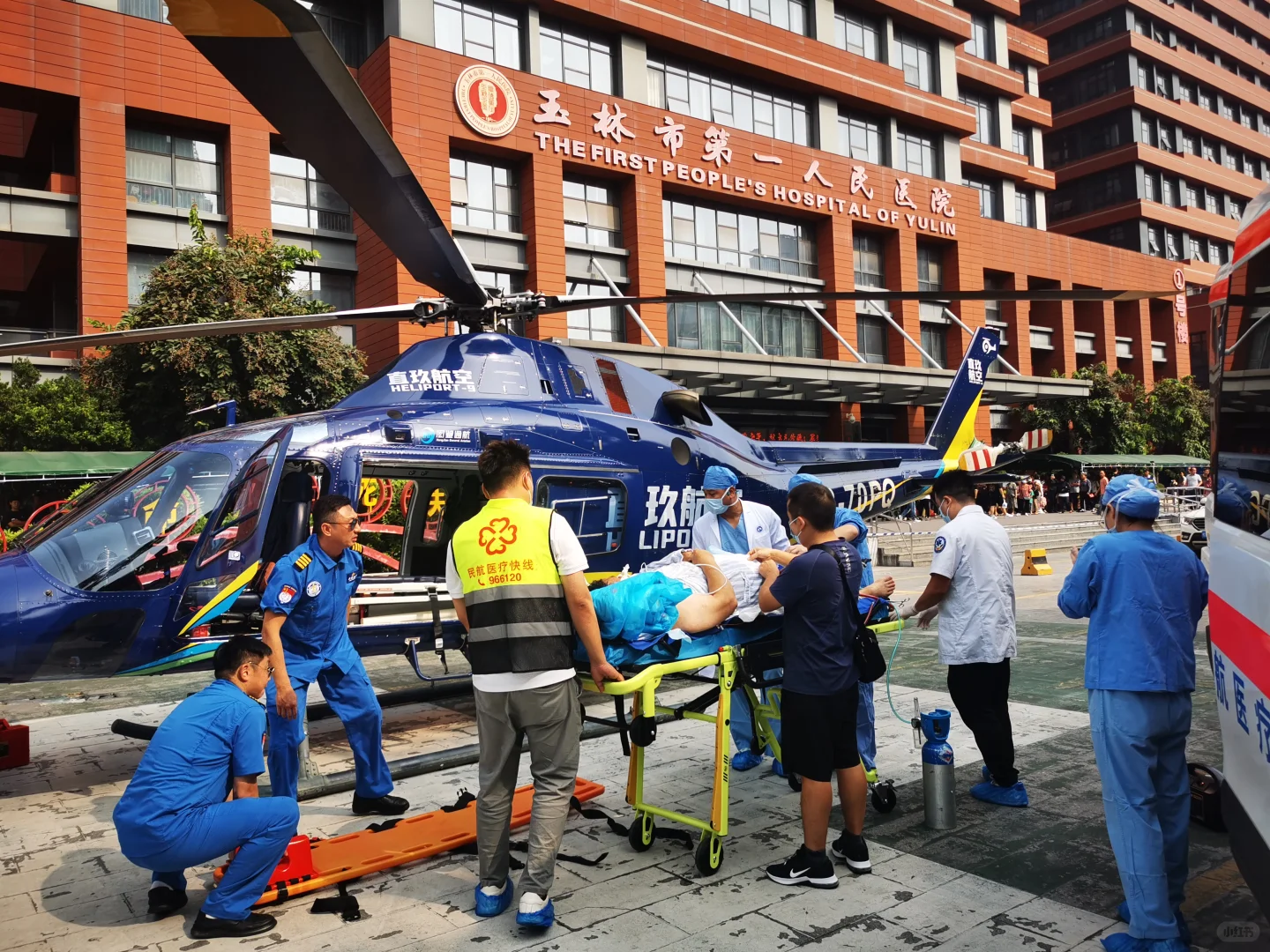 粤桂1小时极速转运，突破时空限制