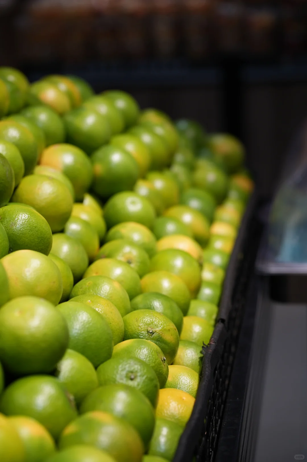 美食林又又双叒叕上新啦！