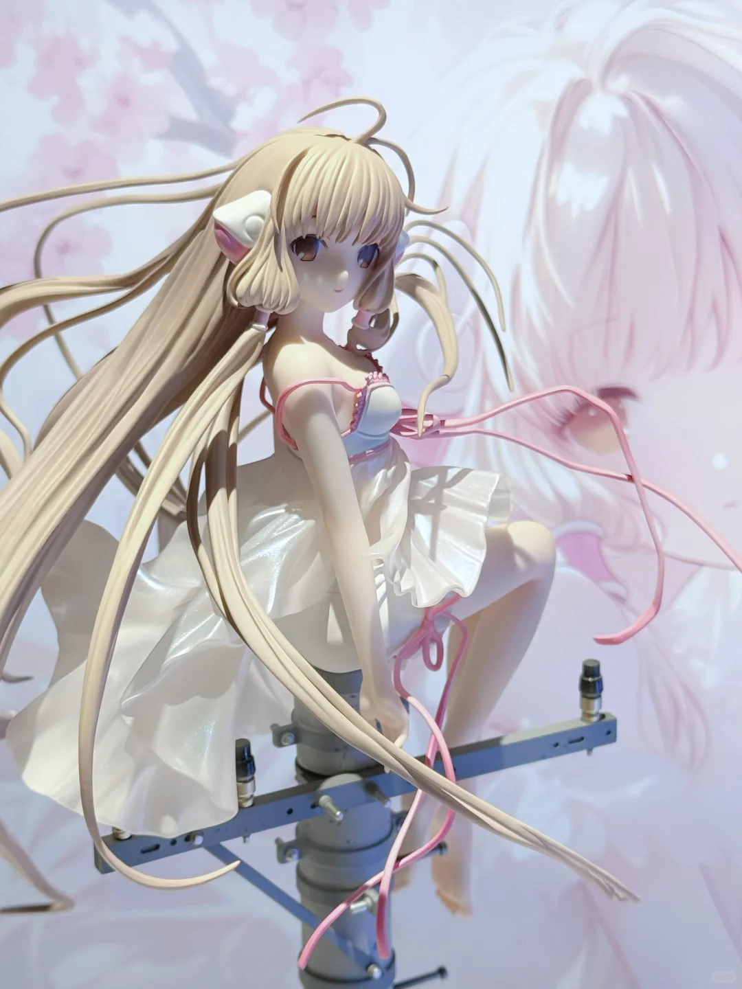 猫受屋的微风习习小叽到了ovo