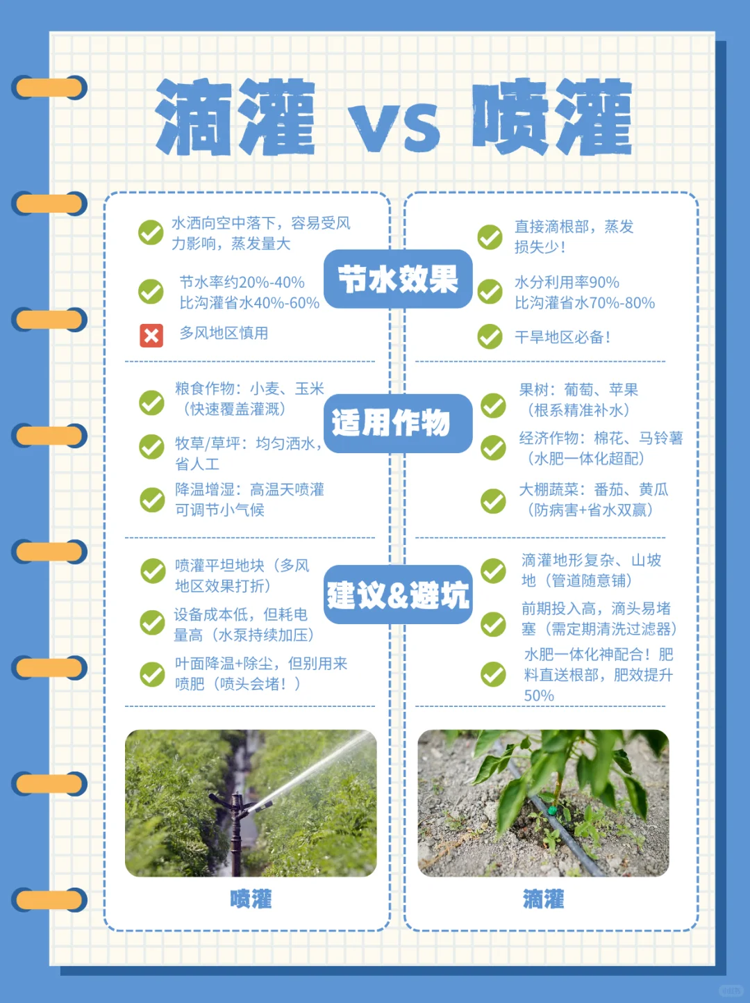 滴灌 vs 喷灌 | 节水灌溉怎么选?