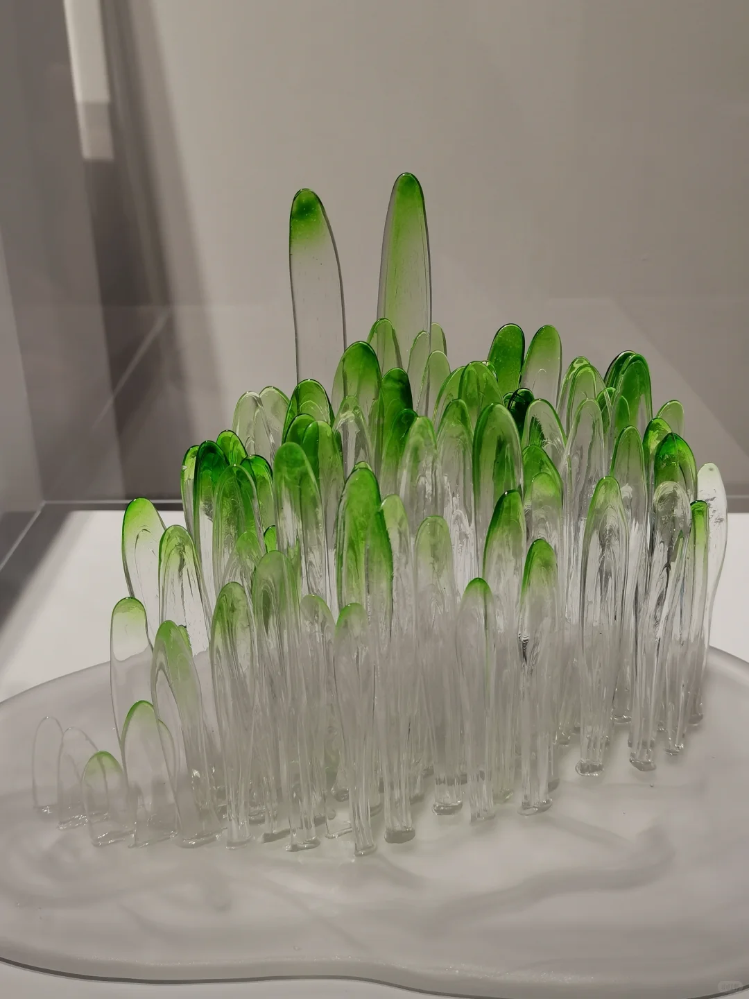 青岛0元新展/溯.明澈糖艺展