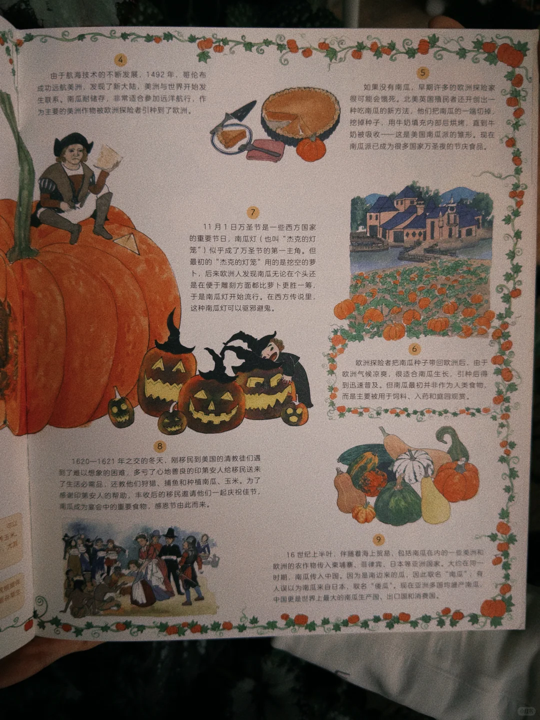 南瓜在万圣节这一天,是妥妥的c位啊