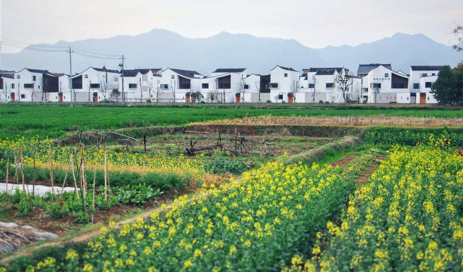 gad把吴冠中的画改造成最美回迁房：东梓关村