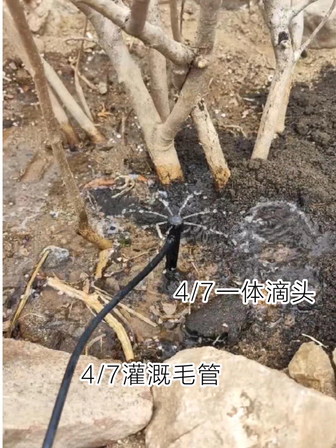 300块钱自制200平米花园自动灌溉系统?