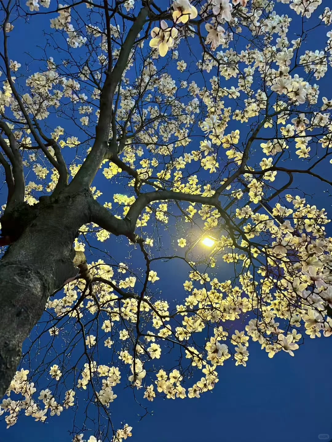 今日各种废玻璃报价