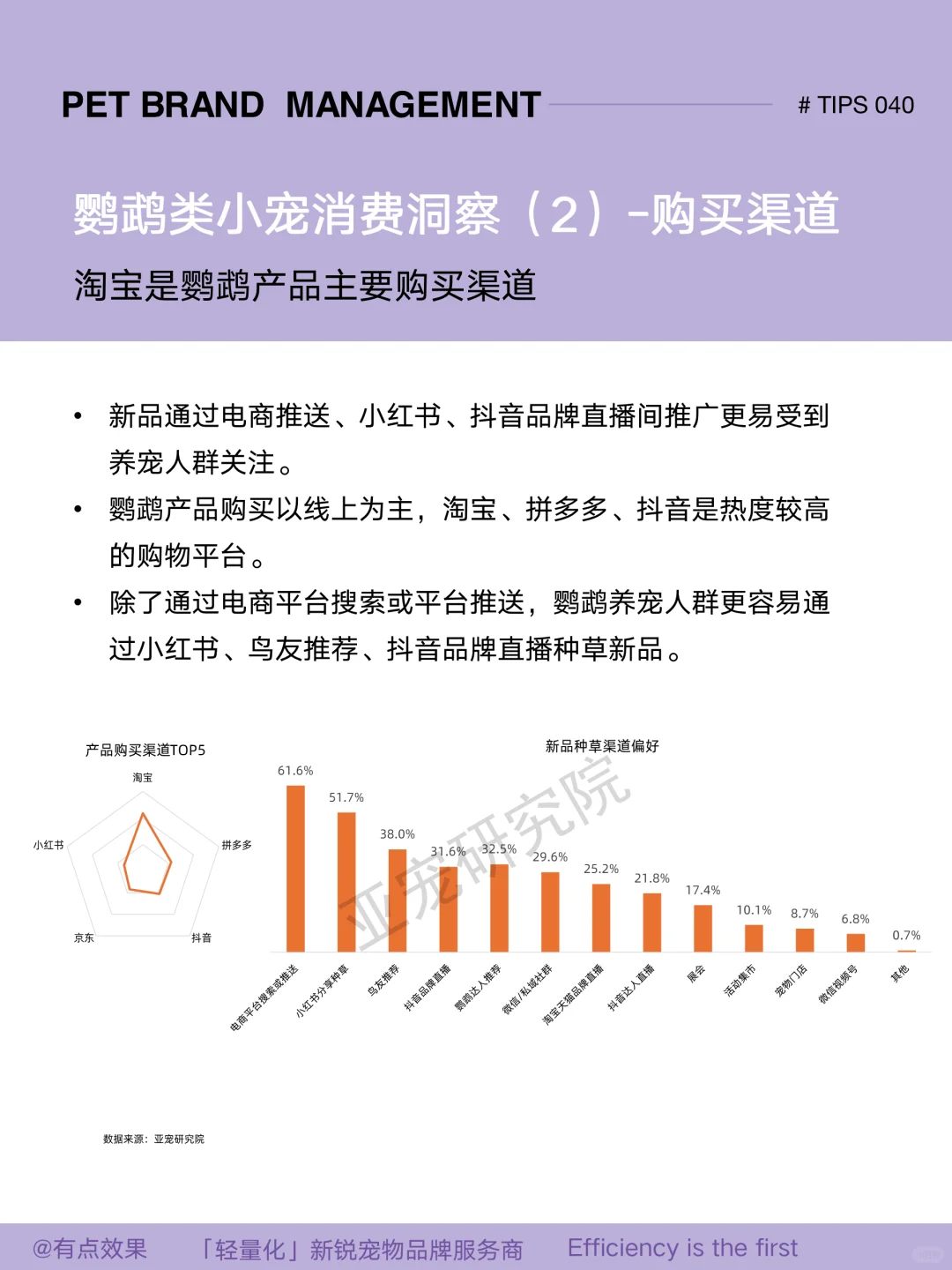 040tips｜2025小宠市场：鹦鹉