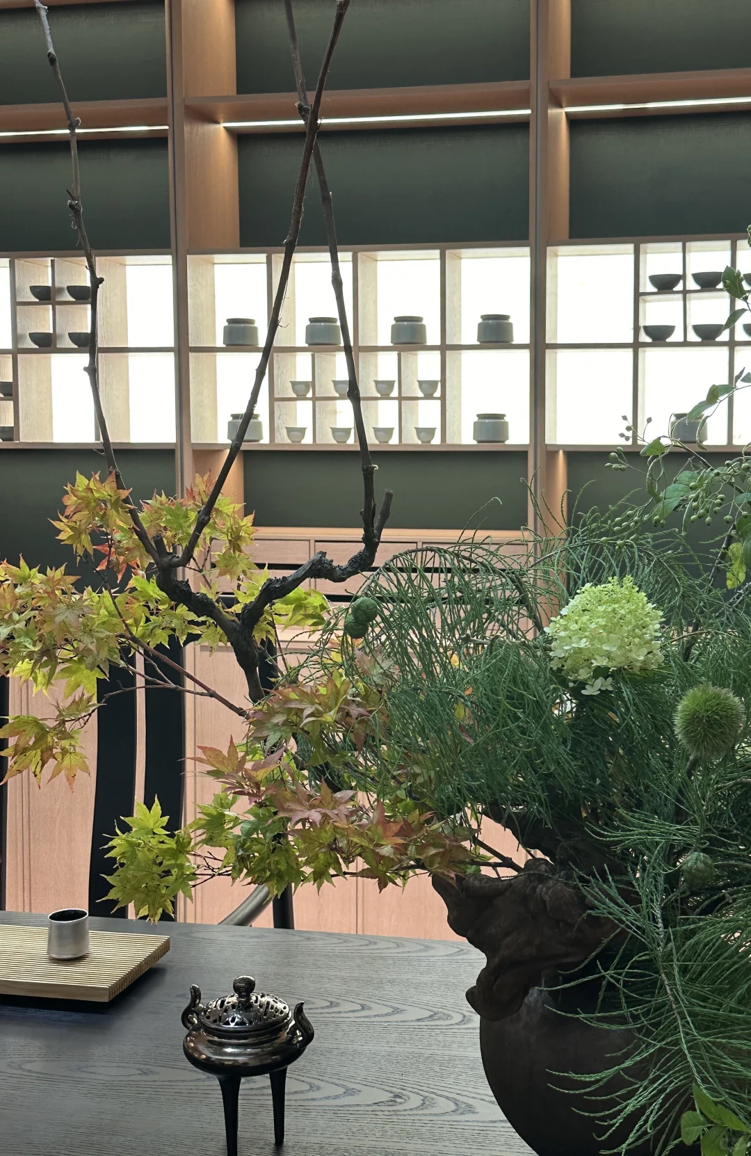 2025建材展的绿植选美大赛?，冠军是...