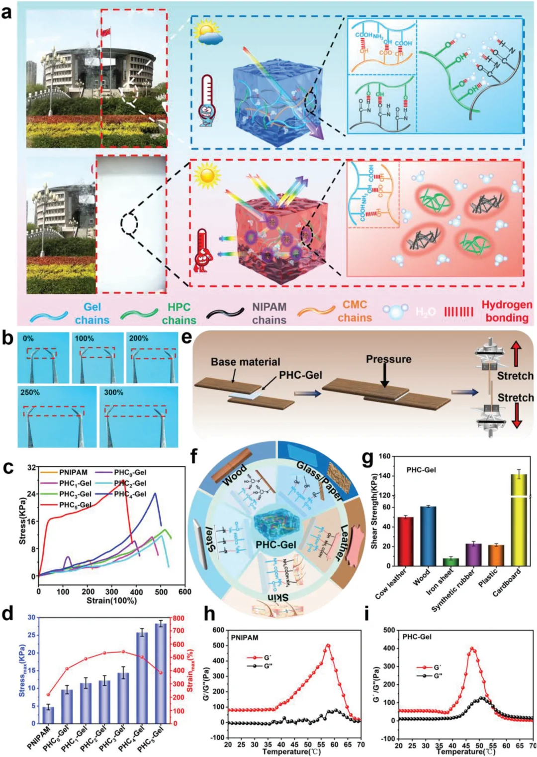 “变色龙”水凝胶,智能玻璃&可穿戴体温