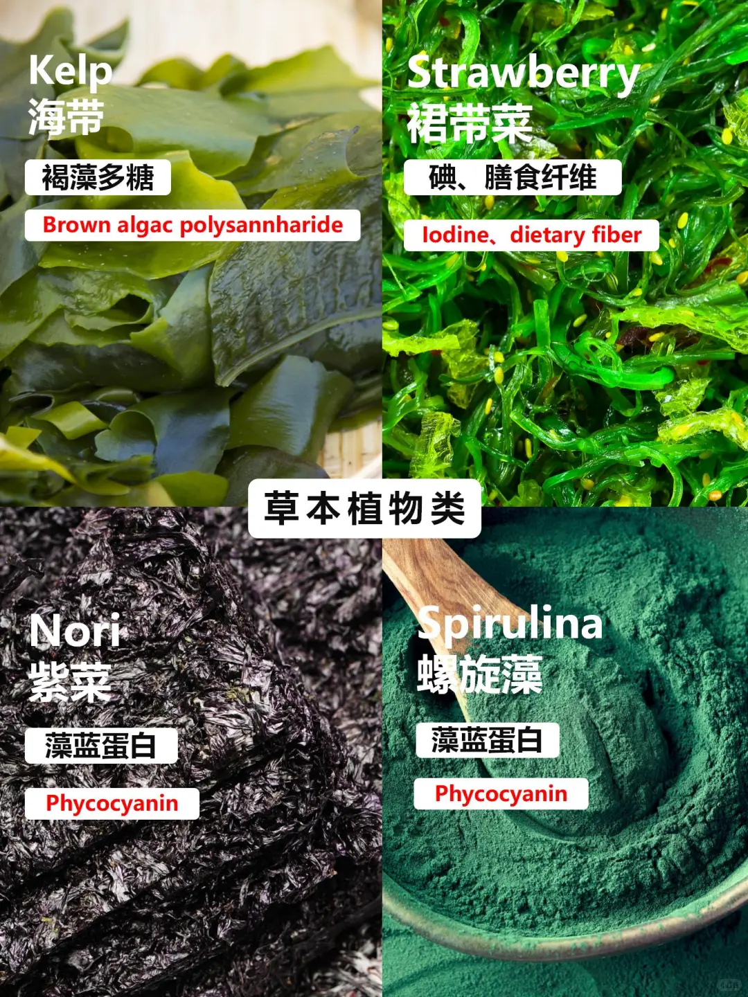 哈佛大学推荐的9大类超级食物！