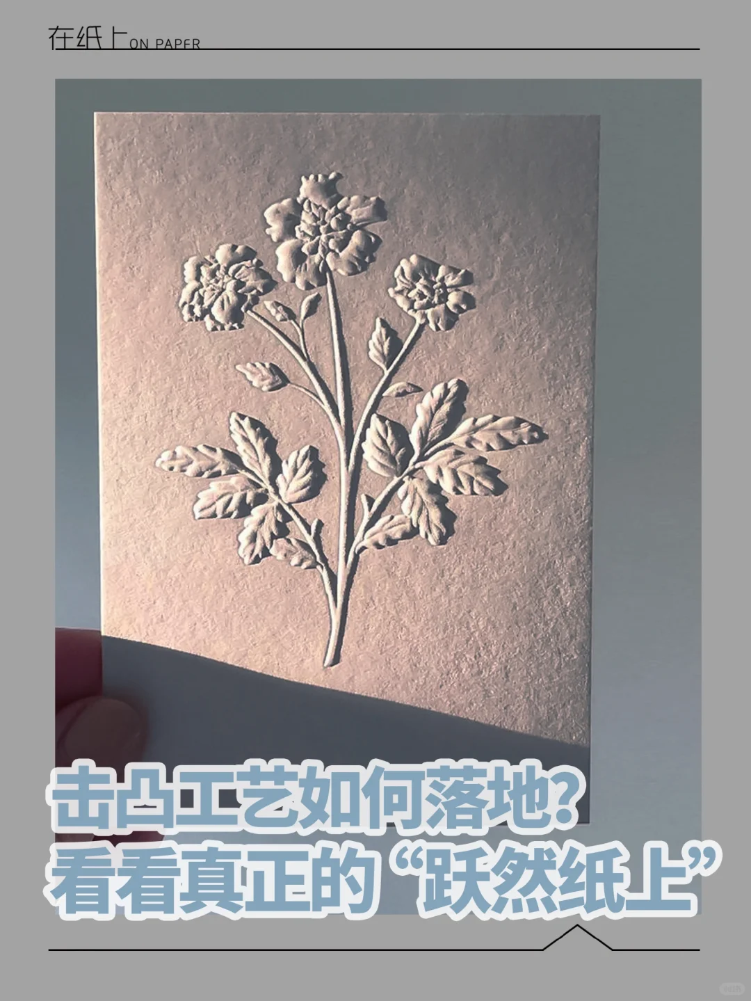 它们要从纸上出来了!