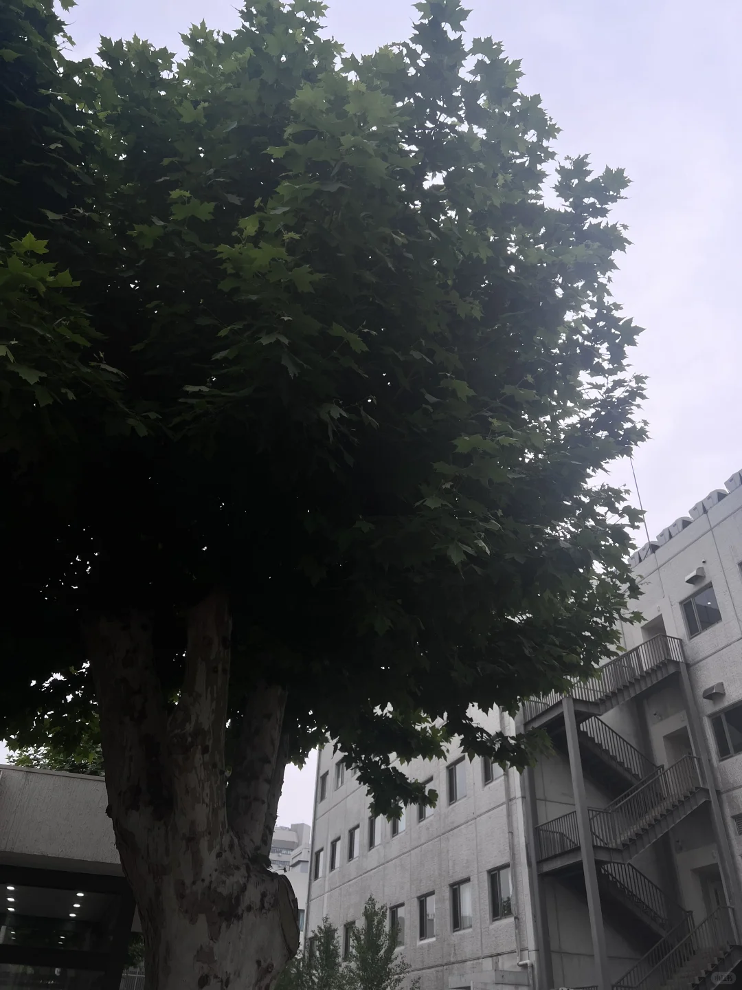 智能电表，智能？？？