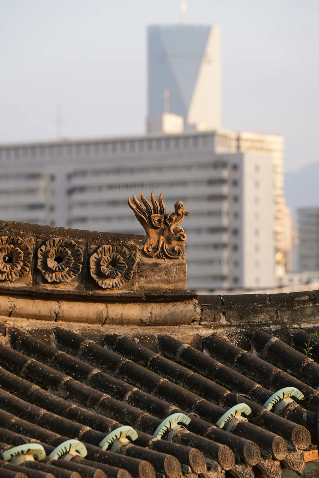 兰州第1天｜中山桥➕白塔山公园