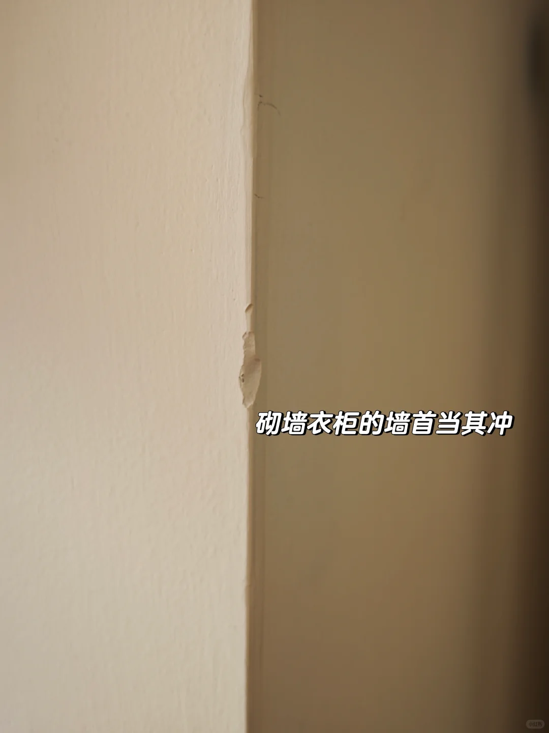 乳胶漆你才是真正的小娇妻吧！