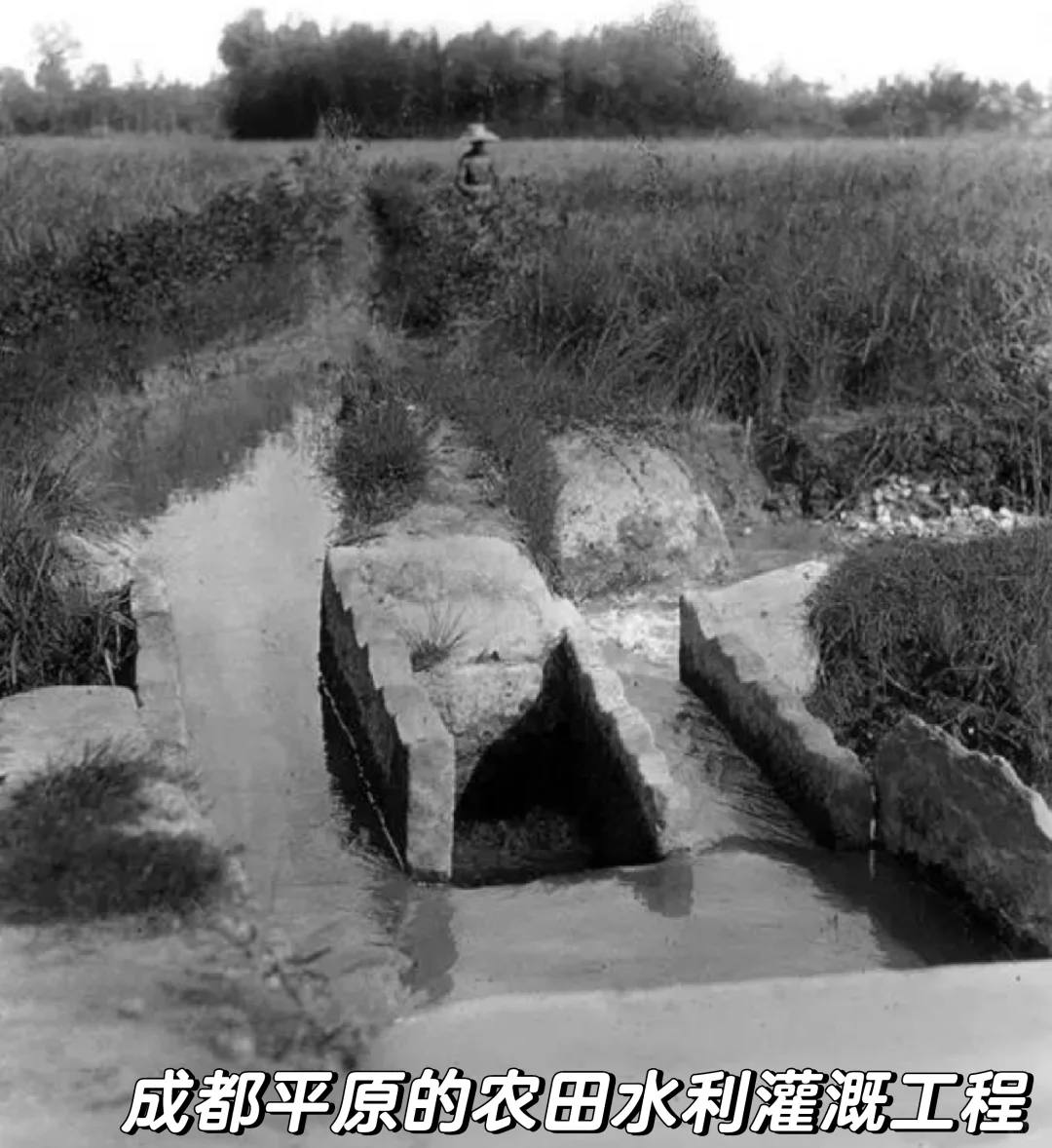 晚清至民国初年四川农村生活多元经济的交织