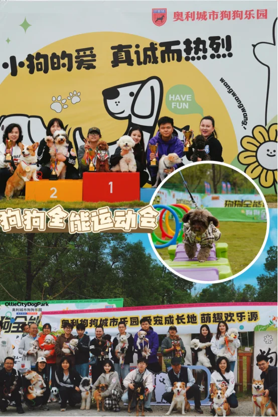 WPE2025武汉宠物展来啦！带上毛孩子来撒欢