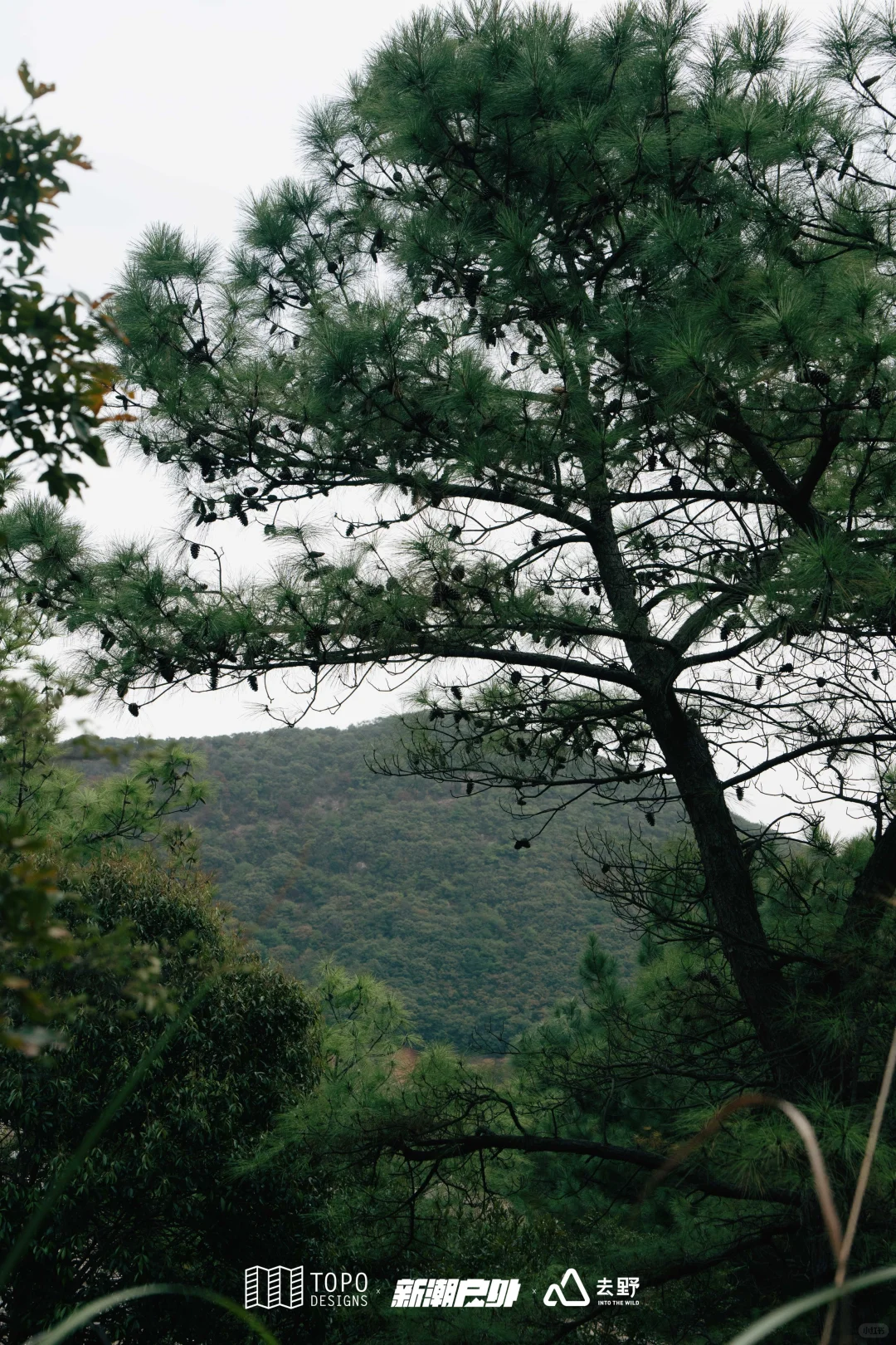 ?在山海间践行环保 我们与自然的双向奔赴