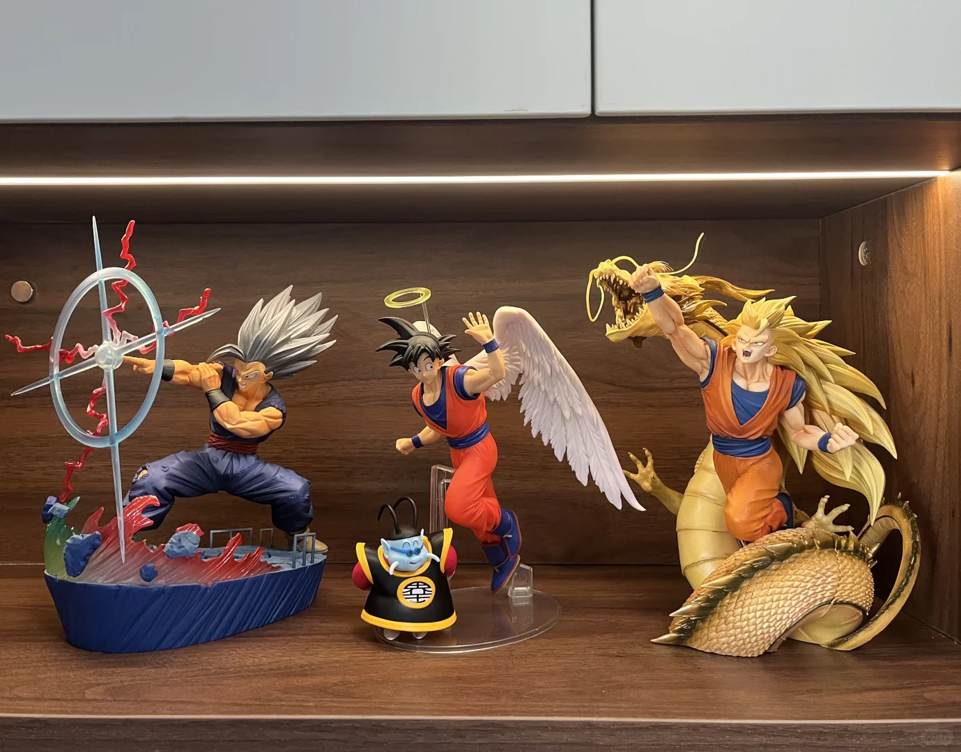 入坑半年的龙珠景品