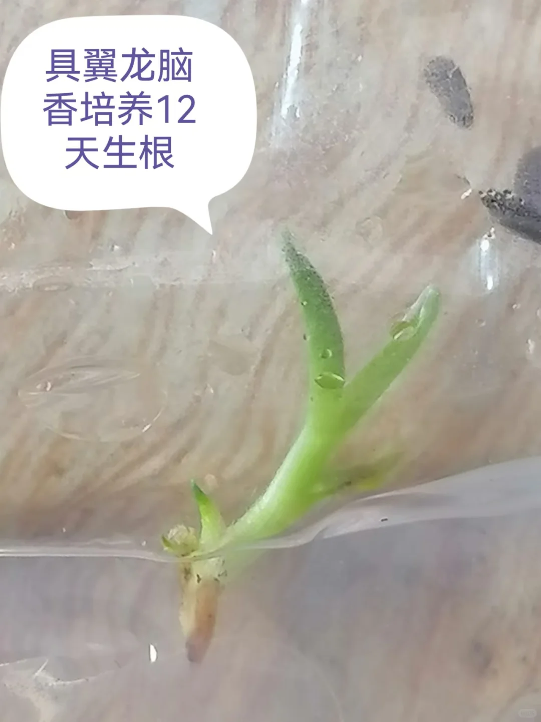 农业为什么挣钱难???