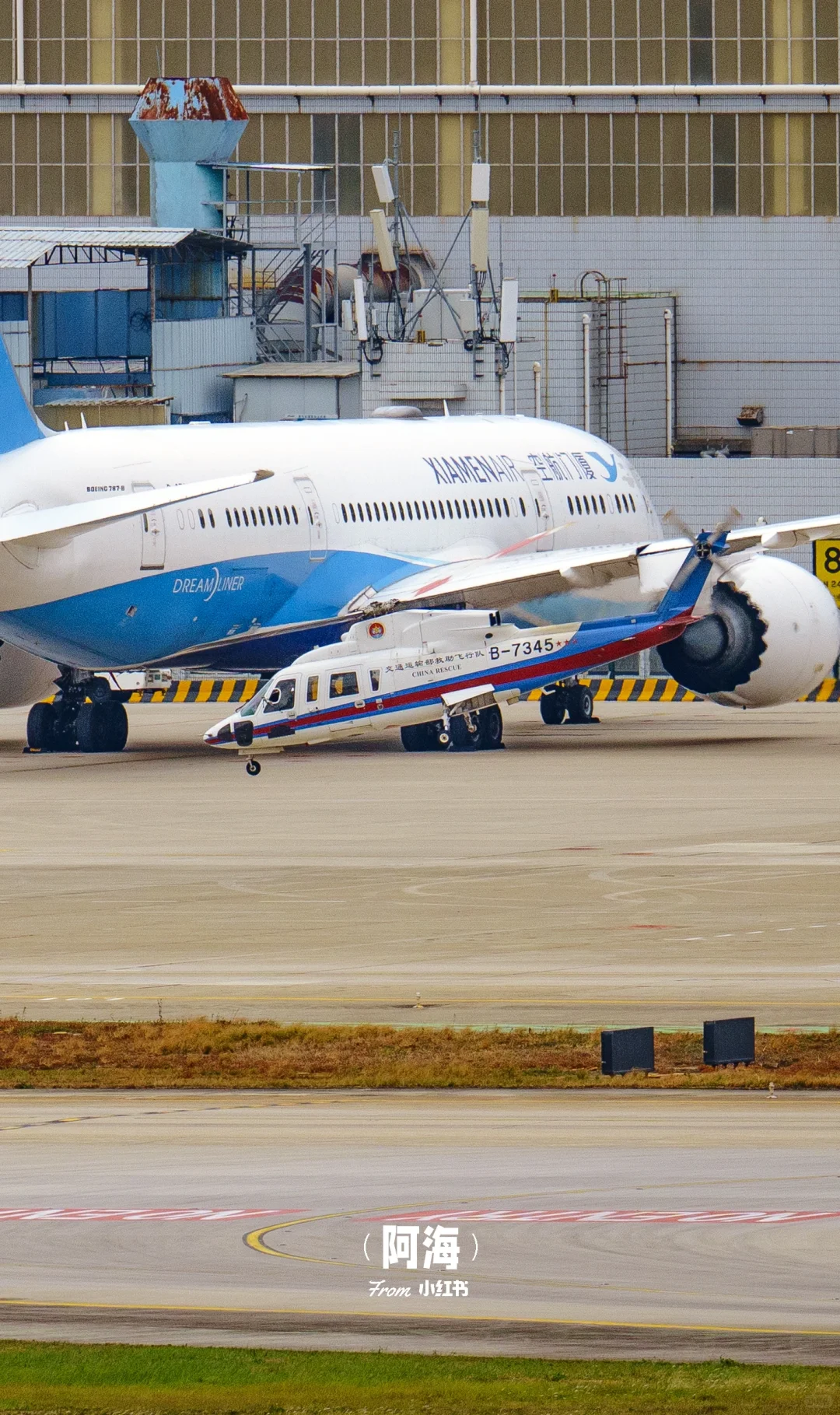 直升机在厦门可是稀罕物