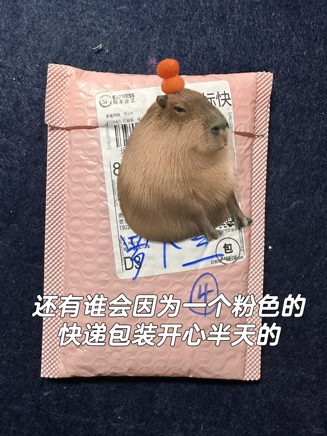 当INTJ成为体验官,她会怎么样?