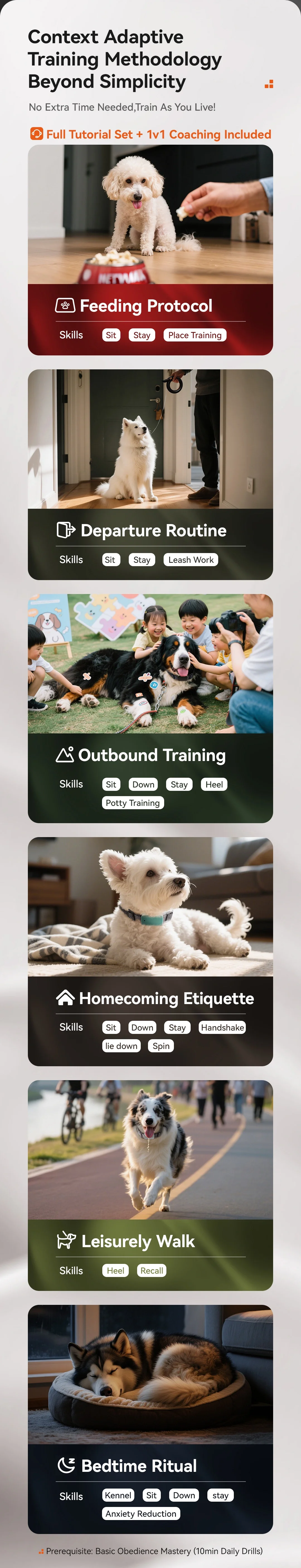 全球首发|颠覆宠物行业的智能牵引训导器