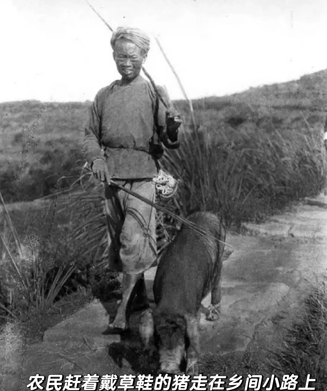 晚清至民国初年四川农村生活多元经济的交织