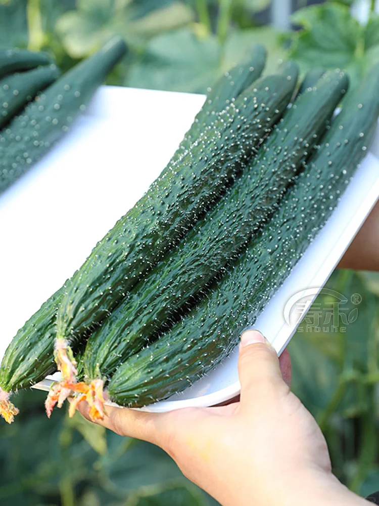 芒种后，这些夏季作物要抓紧种，错过等一年