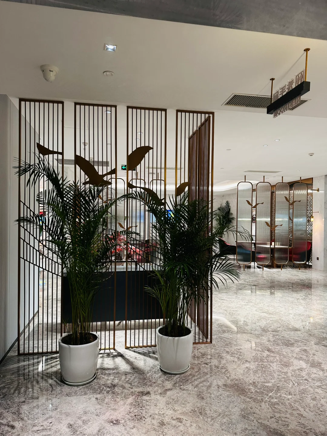 四川航空熊猫小飞侠 A350公务舱体验?️