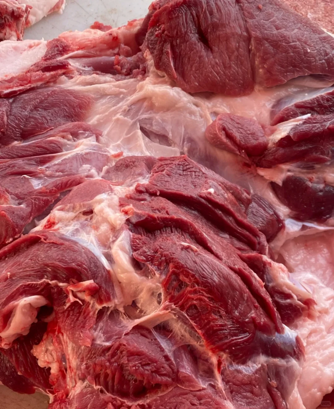 家人们！给你们瞅瞅这新鲜的肉肉！就这色泽