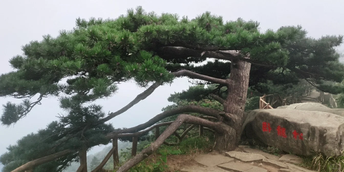 薄刀峰景色对得起5a景区的称号