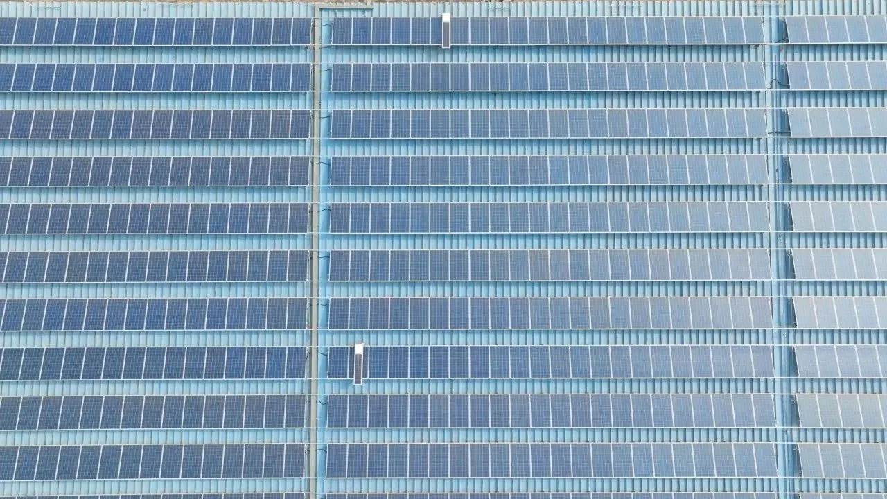 借“光”发电,助力绿色低碳发展