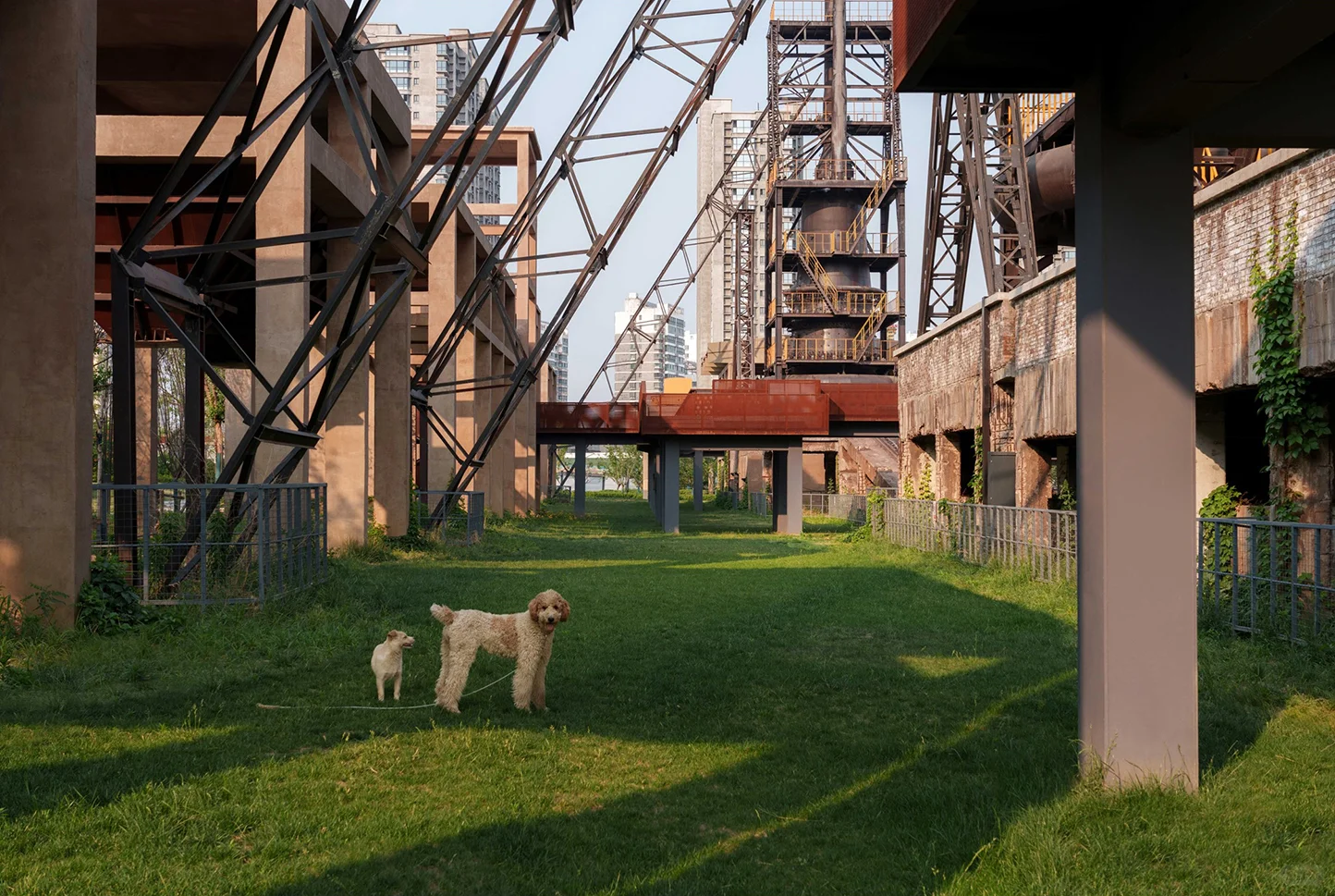 济宁邹城铁合金1971工业遗址公园