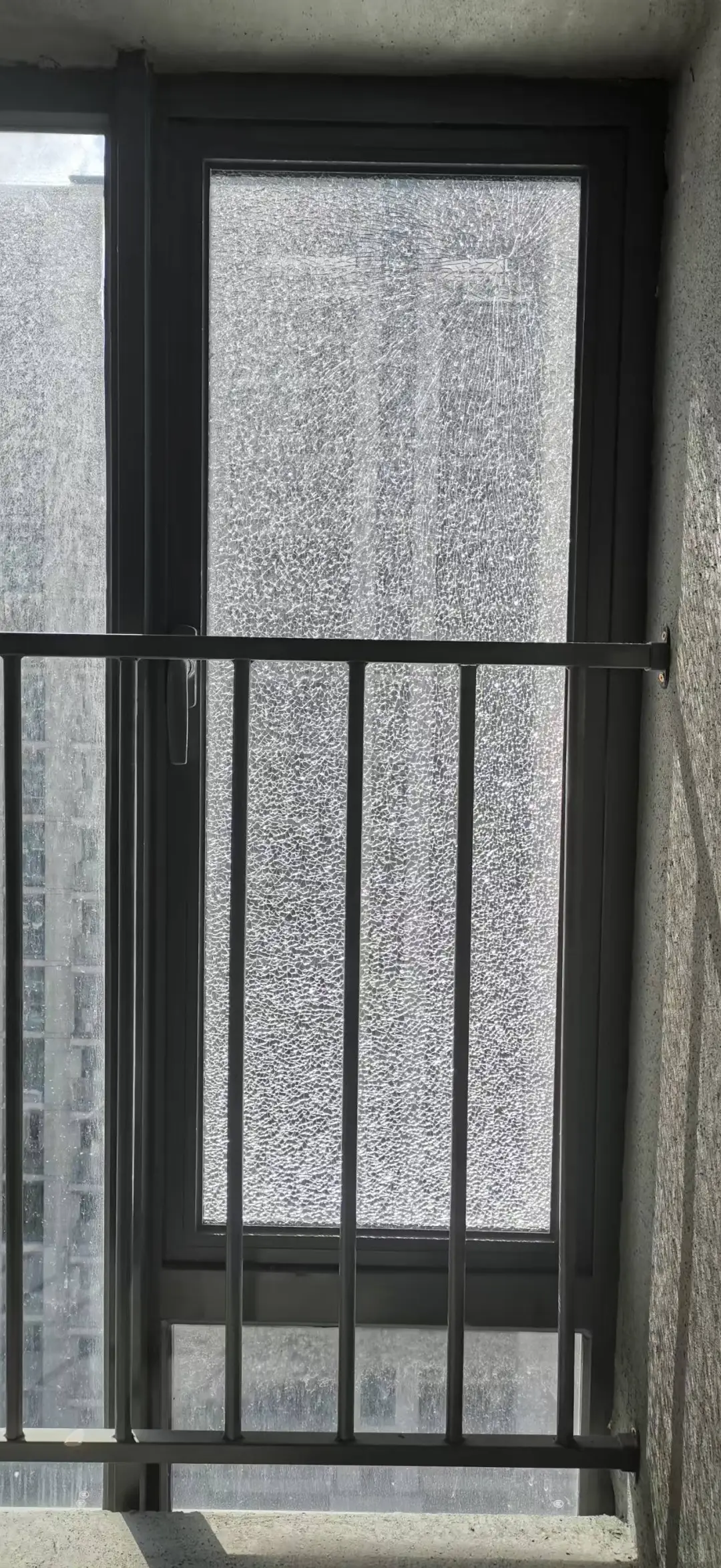 求助换这么大一块玻璃要多少钱