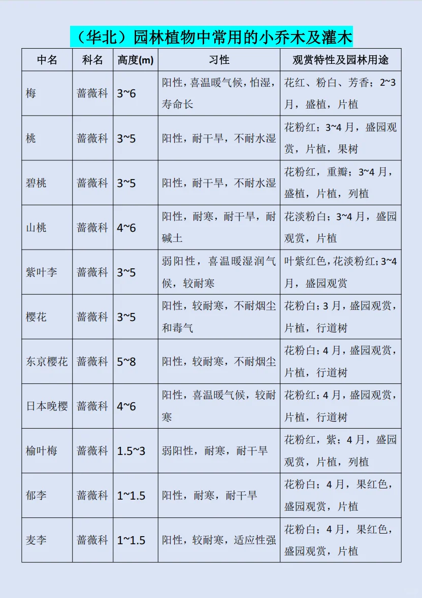 华北｜园林植物常用的小乔木及灌木?