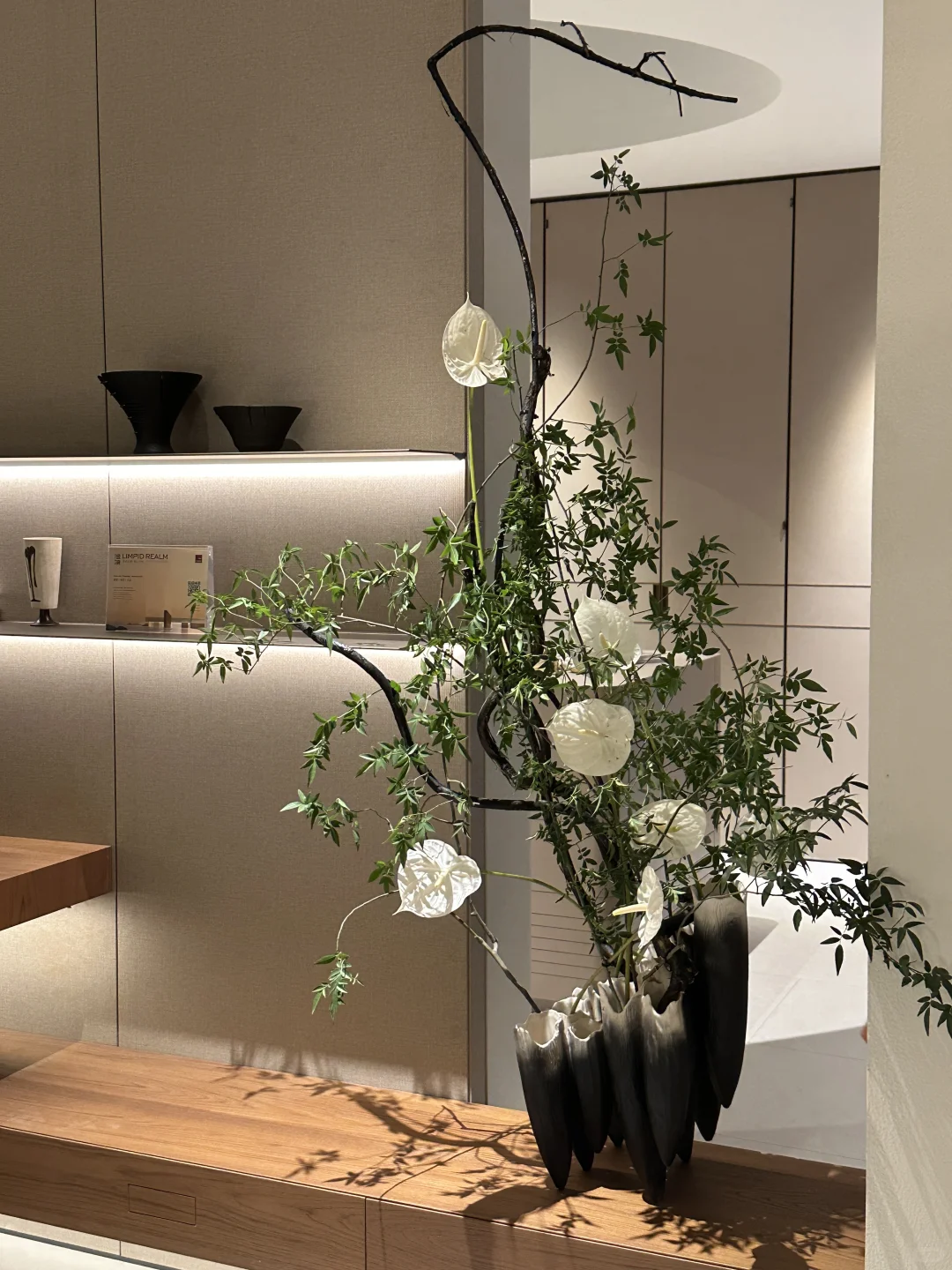 2025建材展的绿植选美大赛?，冠军是...