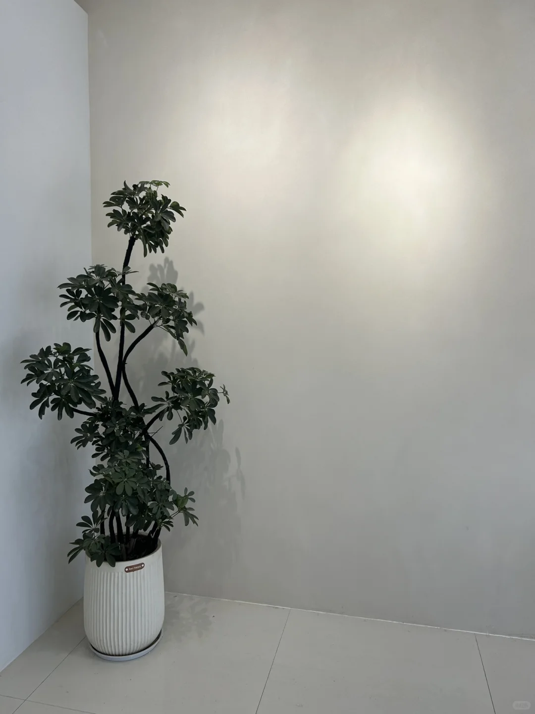 做过5000＋艺术漆，才发现这些颜色高级又耐看