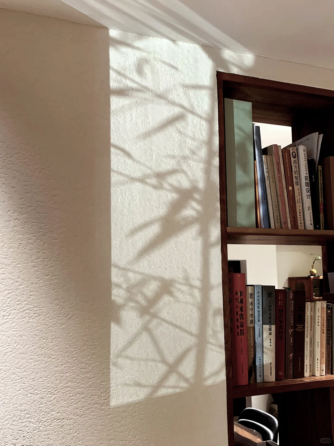 自然光影下的莱姆岩石灰墙面