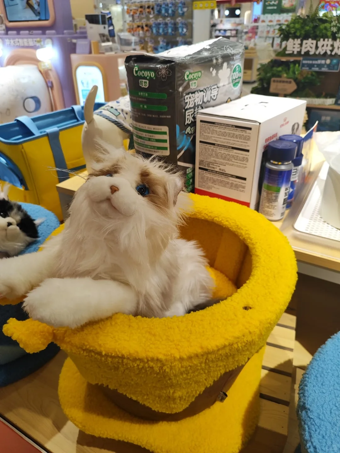 南坪宠物展免费领门票啦！