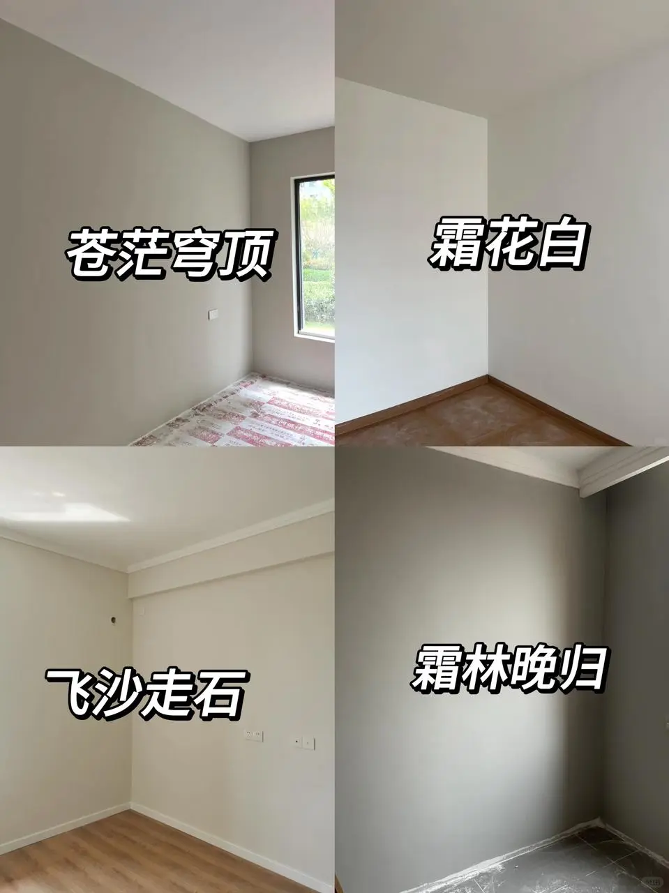 乳胶漆的冷门色号，也能刷出绝美的家