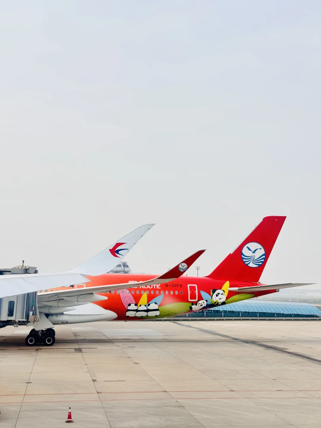 首都机场宽体机天堂✈️?