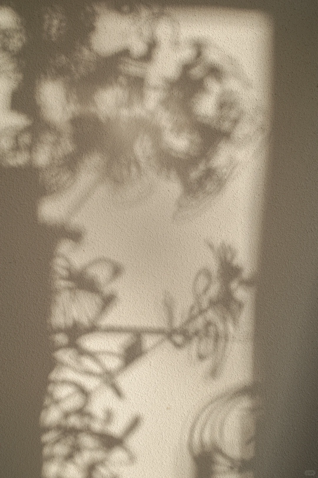 国子监观夏过个糖画年?