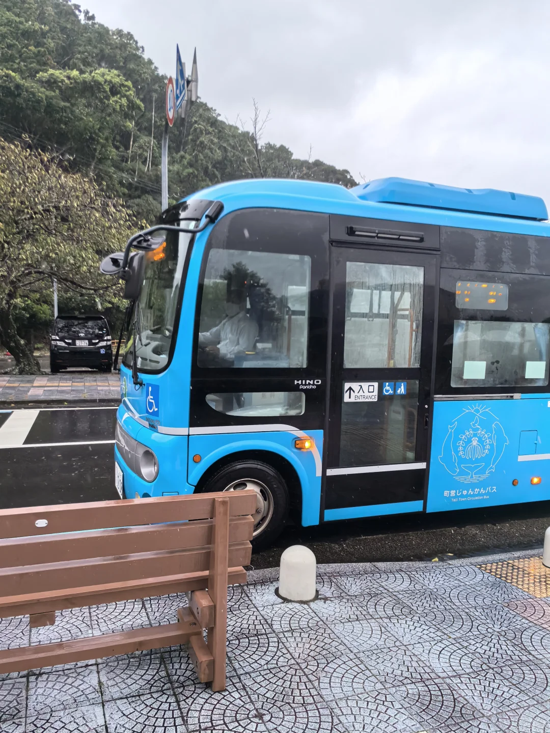 日本关西地区纪伊半岛和歌山太地町，海豚湾