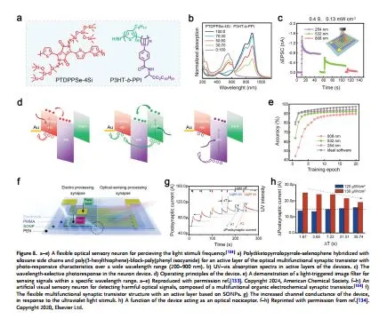 用于可穿戴近集成功能的柔性神经形态器件