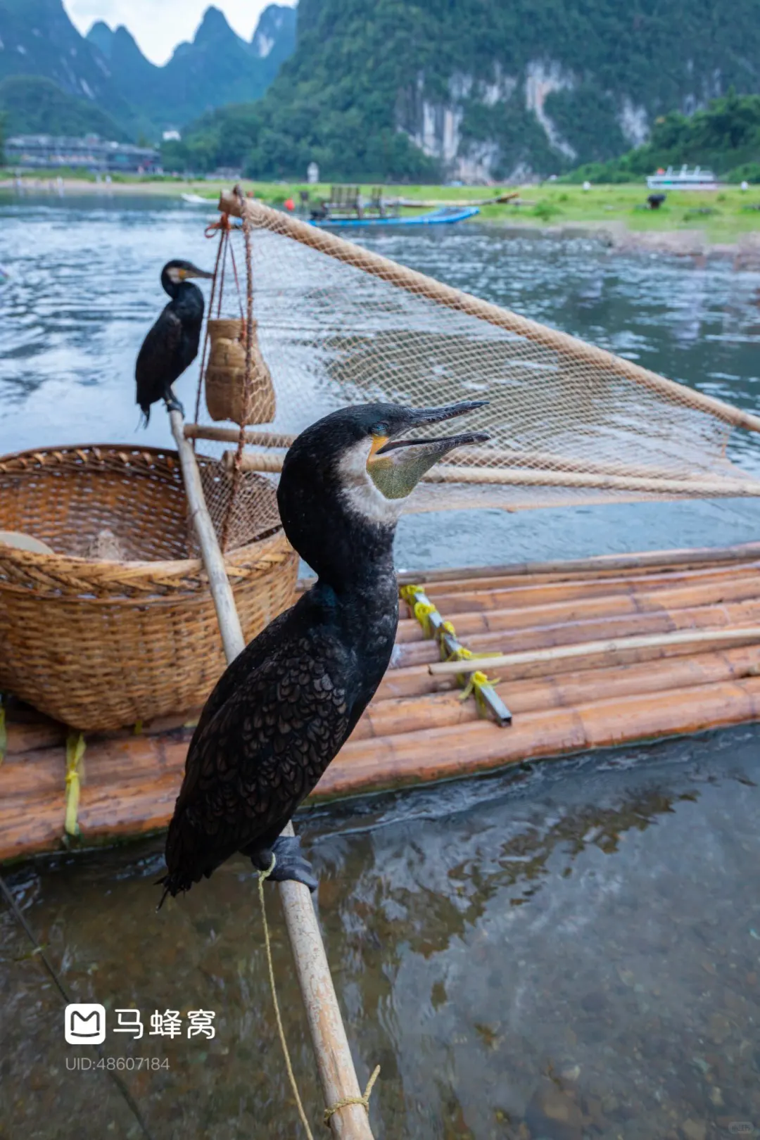 TN旅行水彩手帐｜今天去《桂林》