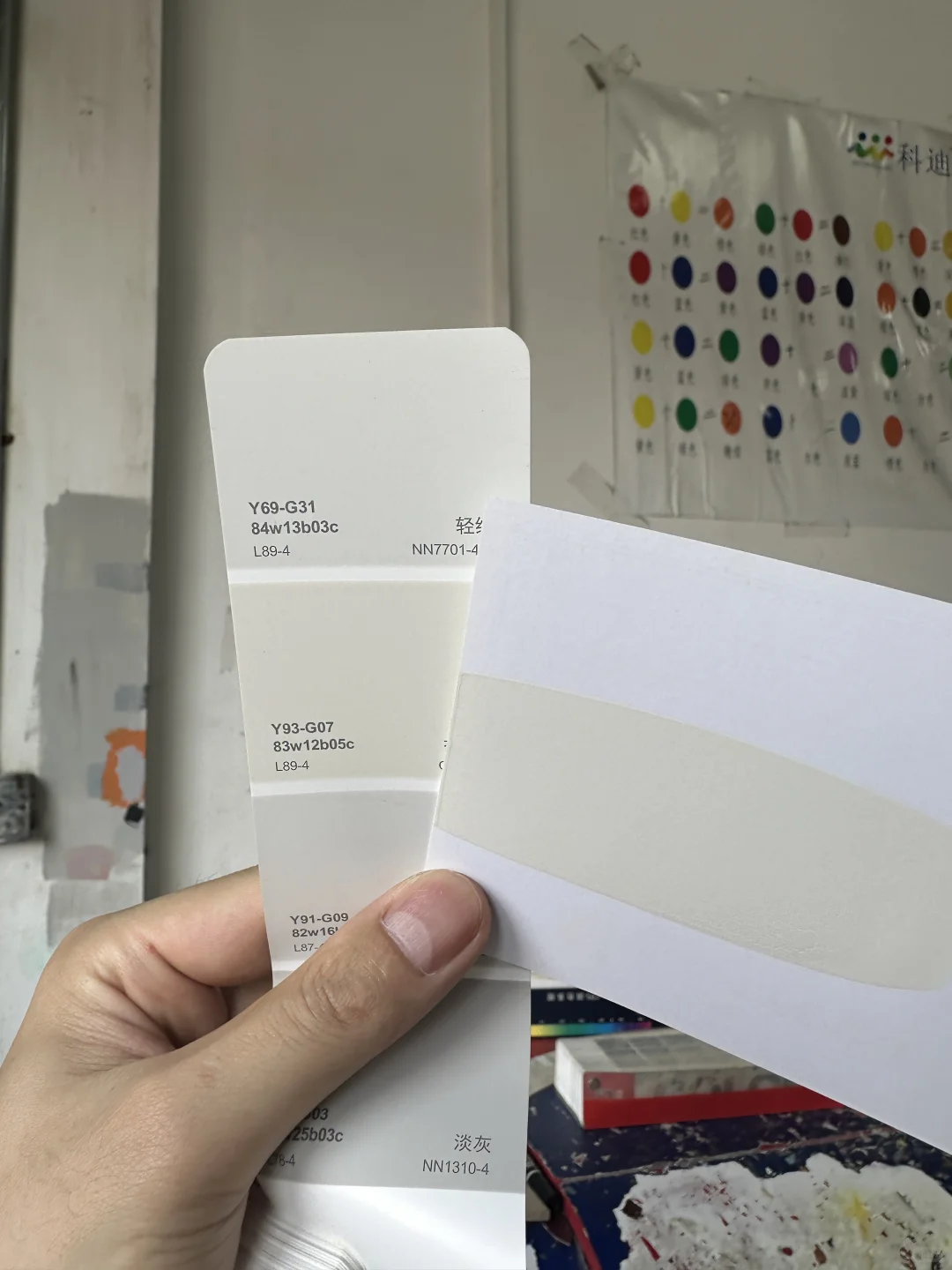 许多网友问的乳胶漆色号（图9）