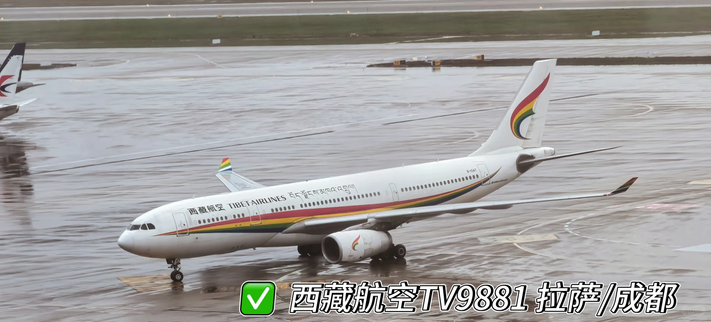 虹桥机场全景打卡 宽体机盛宴